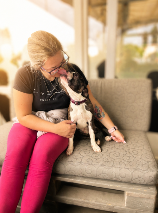 Pasji hotel Magic Paws